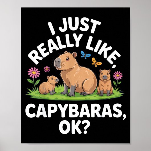 I Just Really Like Capybaras Ok_ Animal Lover Funn Poster (Voorkant)