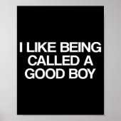 I Like Being Called A Good Boy Poster (Voorkant)