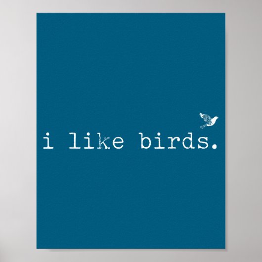 I Like Birds Funny Minimalist Birdwatching Introve Poster (Voorkant)