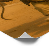 "I Like My Whip" Poster (Hoek)