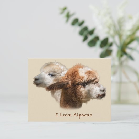 I Love Alpacas Briefkaarten (Staand voorkant)