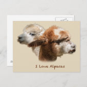 I Love Alpacas Briefkaarten (Voorkant / Achterkant)