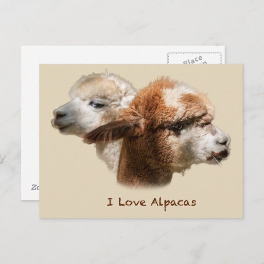 I Love Alpacas Briefkaarten (Voorkant / Achterkant)