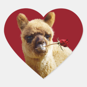 I Love Alpacas Heart Stickers for Dierenvrienden