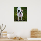 I Love American Bull Dogs Poster (Keuken)
