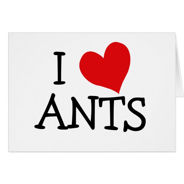 I Love Ants (Voorkant Horizontaal)