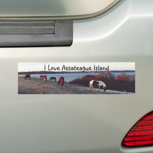 I Love Assateague Island - Bumpersticker (Op auto)
