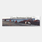I Love Assateague Island - Bumpersticker (Voorkant)