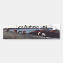 I Love Assateague Island - Bumpersticker