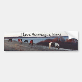 I Love Assateague Island - Bumpersticker