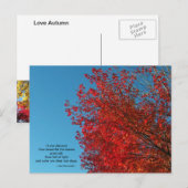 I Love Autumn Briefkaart (Voorkant / Achterkant)