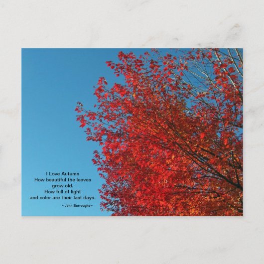 I Love Autumn Briefkaart (Voorkant)