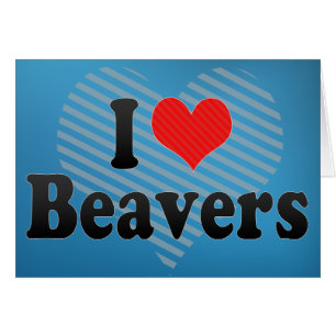 I Love Beavers