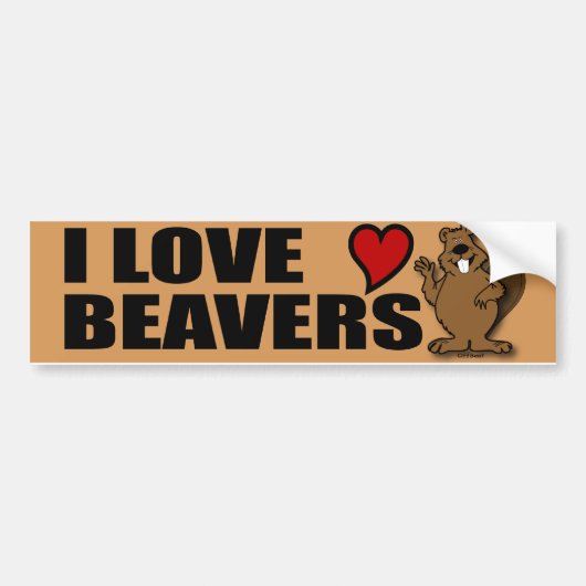 I Love Beavers Bumpersticker (Voorkant)
