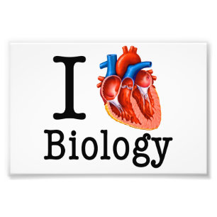 I Love Biology Foto Afdruk