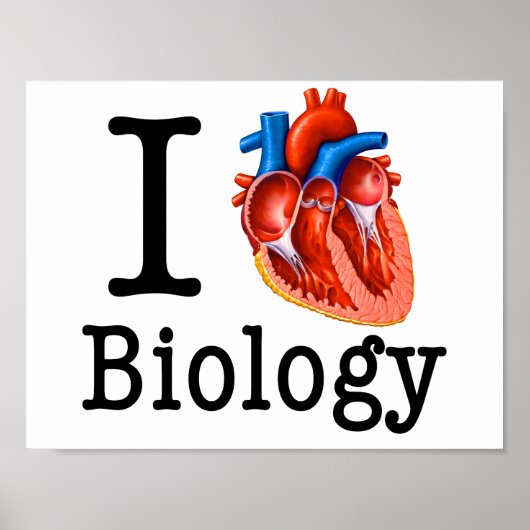I Love Biology Poster (Voorkant)