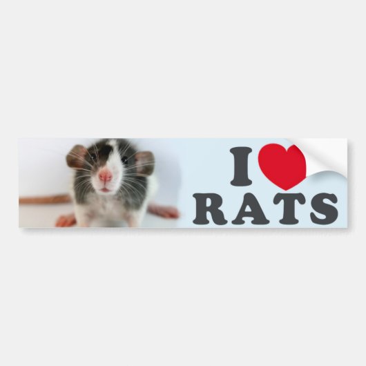 I love (blazed) Rats Bumpersticker (Voorkant)