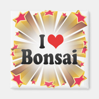 I Love Bonsai Magneet