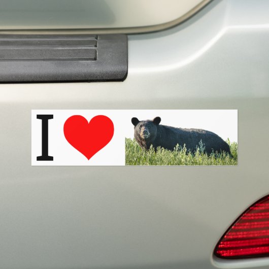 I Love Bruno Bumpersticker (Op auto)