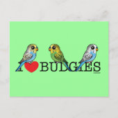 I Love Budgies Briefkaart (Voorkant)