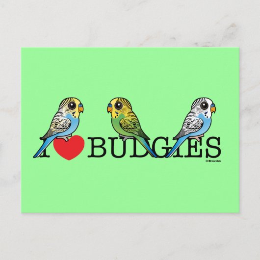 I Love Budgies Briefkaart (Voorkant)