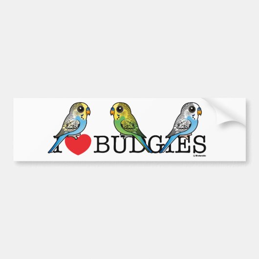 I Love Budgies Bumpersticker (Voorkant)
