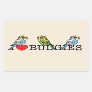 I Love Budgies Rechthoekige Sticker