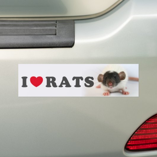 I love bumpersticker (Op auto)