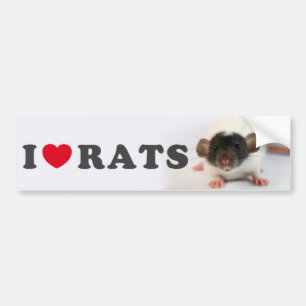 I love bumpersticker