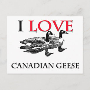 I Love Canadian Gese Briefkaart