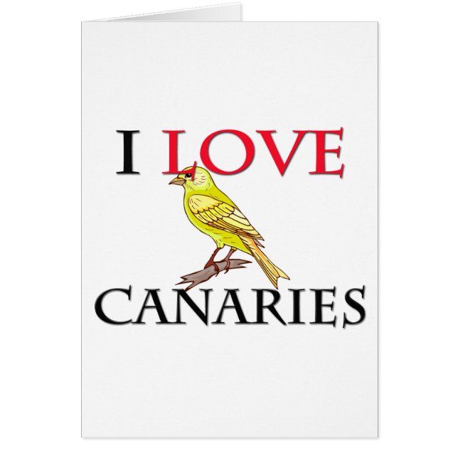 I Love Canaries (Voorkant)