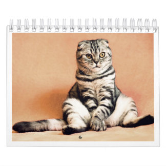 I love cats calendar 2026 kalender