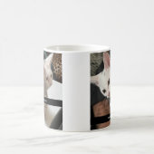 I Love Cats Coffee Mug. I Hate People Cat Mug. Koffiemok (Center)