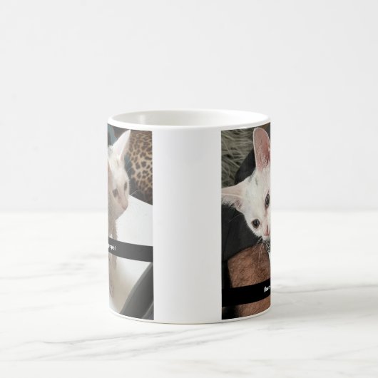 I Love Cats Coffee Mug. I Hate People Cat Mug. Koffiemok (Center)