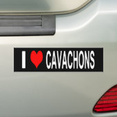 I Love Cavachons Bumpersticker (Op auto)