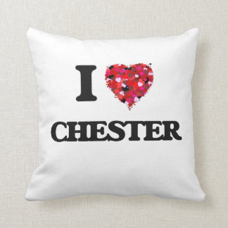 I Love Chester Kussen