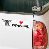 I Love Chihuahuas bumper sticker (Op Truck)