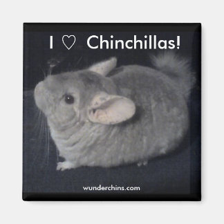 I Love Chinchillas Magneet