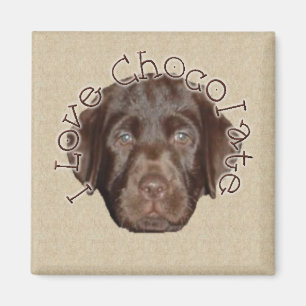 I Love Chocolate Magneet