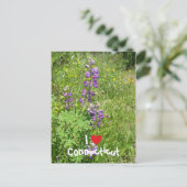 I Love Connecticut Briefkaart (Staand voorkant)