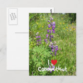 I Love Connecticut Briefkaart (Voorkant / Achterkant)