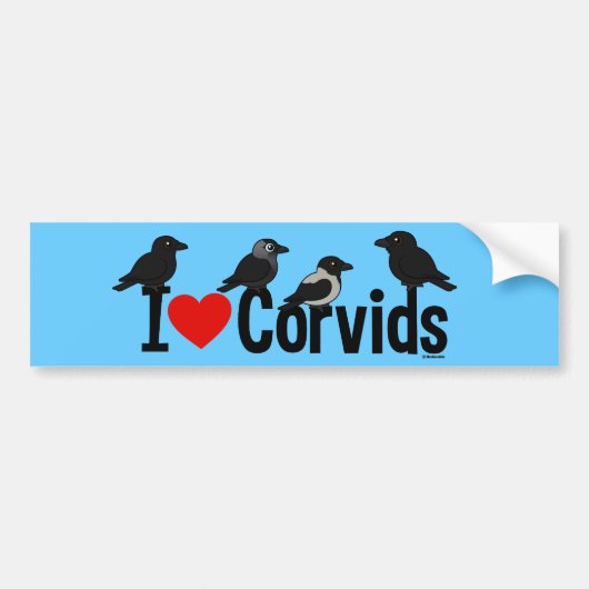 I Love Corvids Bumpersticker (Voorkant)