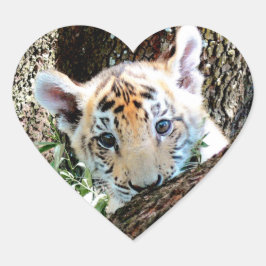 I Love Cute Baby Tiger Cubs Hart Sticker