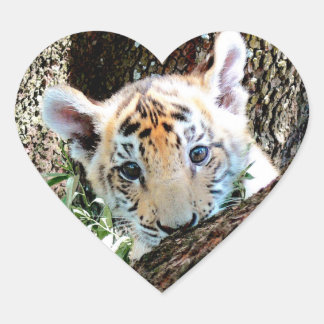 I Love Cute Baby Tiger Cubs Hart Sticker