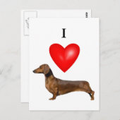 I Love Dachshunds Briefkaart (Voorkant / Achterkant)