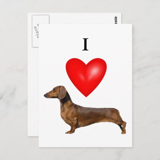 I Love Dachshunds Briefkaart (Voorkant / Achterkant)