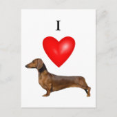I Love Dachshunds Briefkaart (Voorkant)