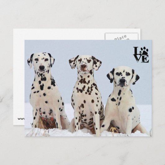 I Love Dalmatian Briefkaart (Voorkant / Achterkant)