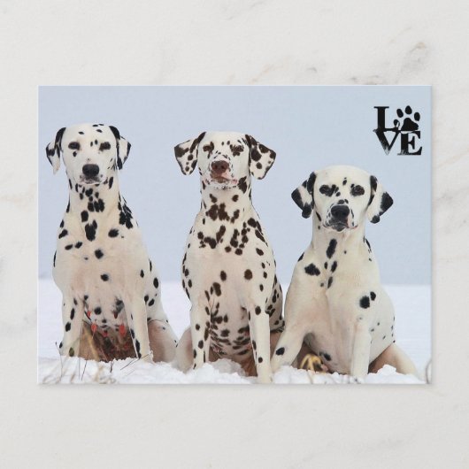 I Love Dalmatian Briefkaart (Voorkant)