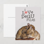 I Love Degu Piles Briefkaart (Voorkant / Achterkant)
